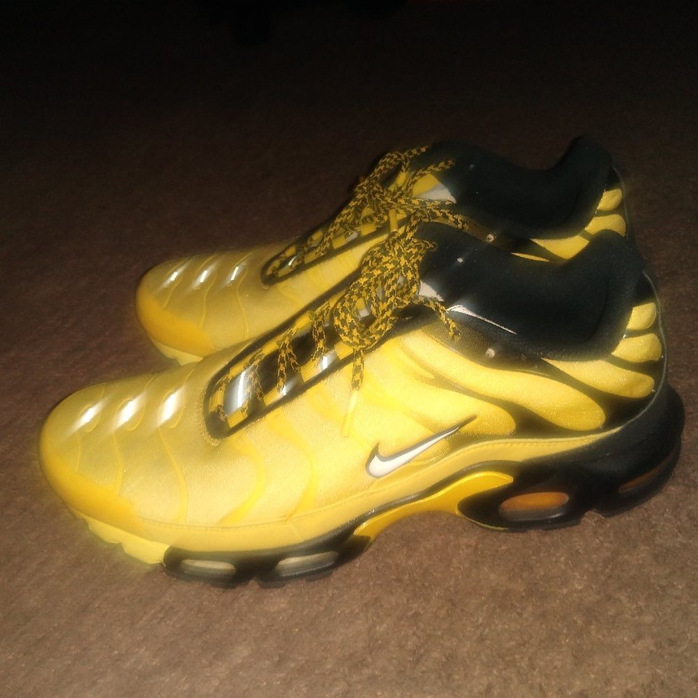 Nike air max plus